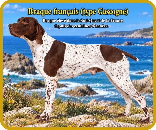 chiens