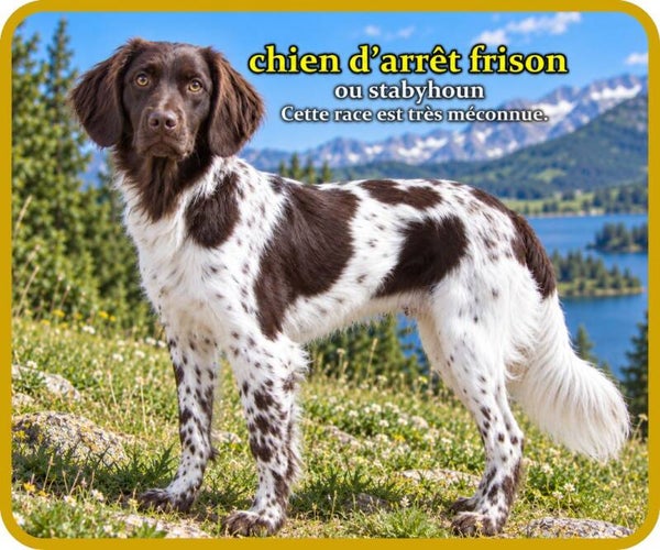 chiens
