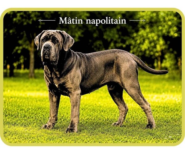 chiens