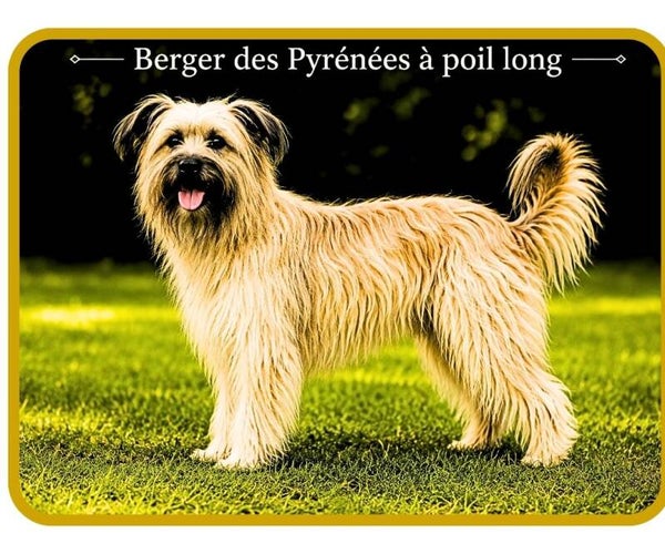 chiens