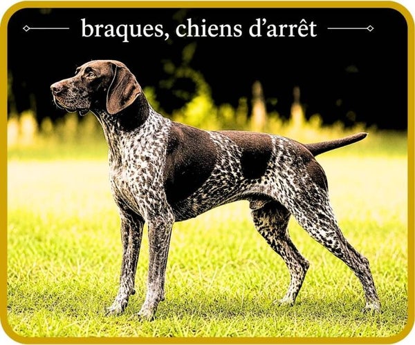 chiens de chasse