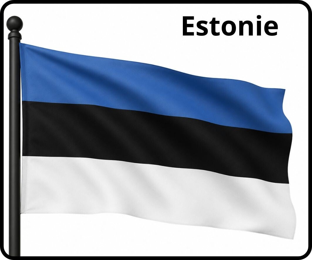 Drapeaux