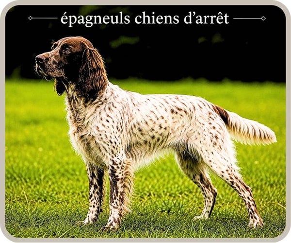 chiens de chasse