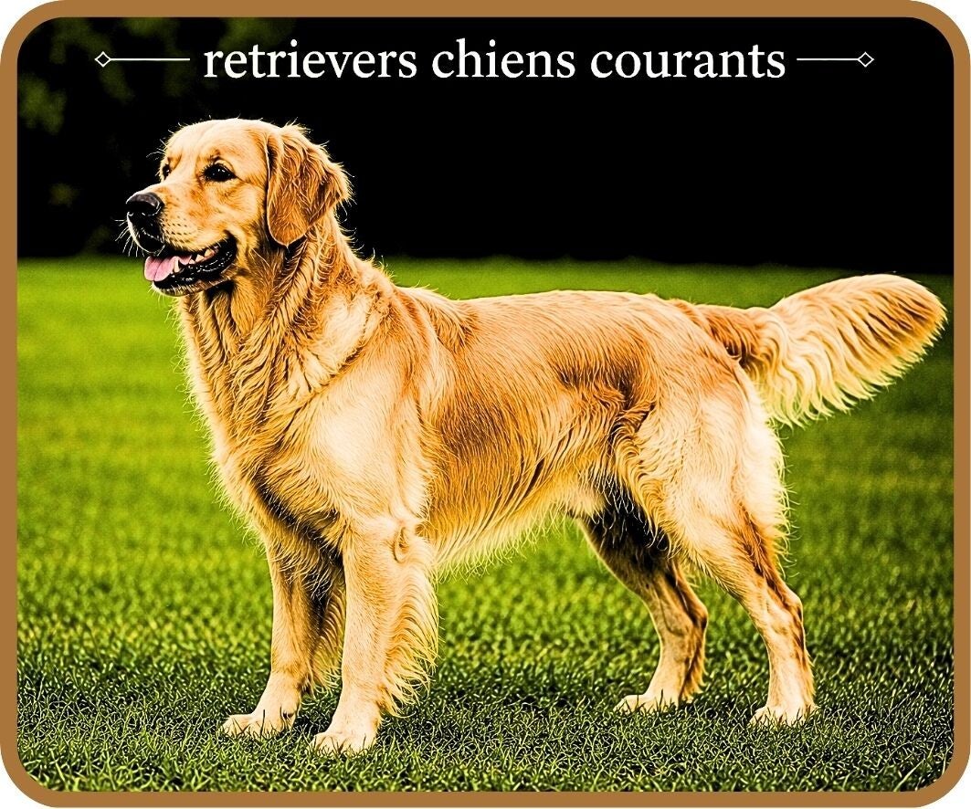 chiens de chasse