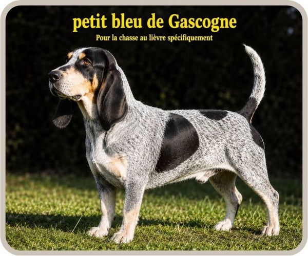 chiens de chasse