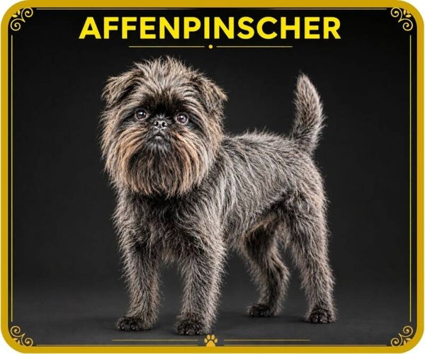 chiens