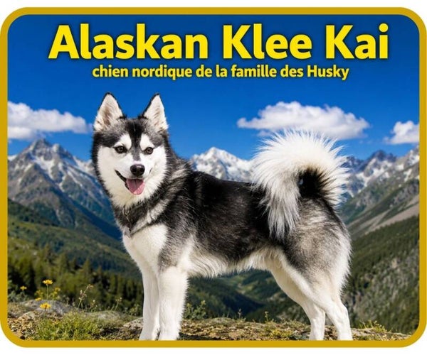 chiens
