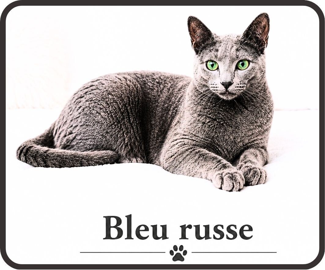 chats