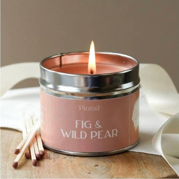 Pintail Paint Pot Candle Fig & Wild Pear