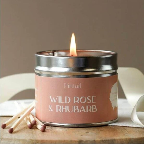 Pintail Paint Pot Candle Wild Rose & Rhubarb