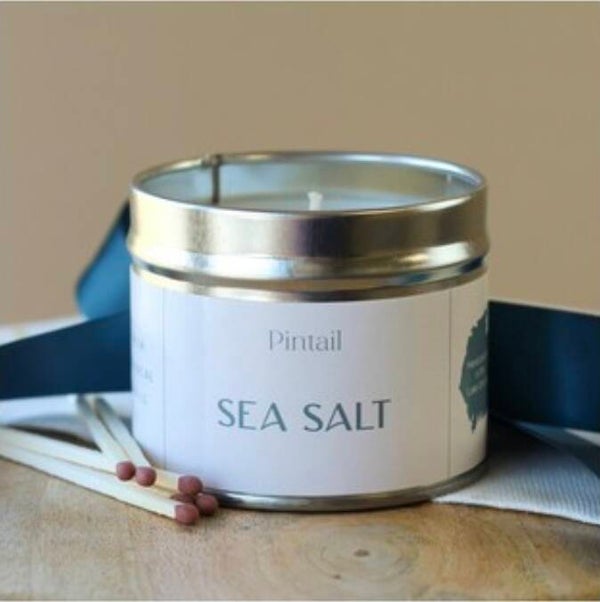 Pintail Hand Poured Paint Pot Candle Sea Salt