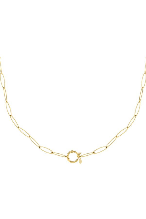 Diy ketting shakels