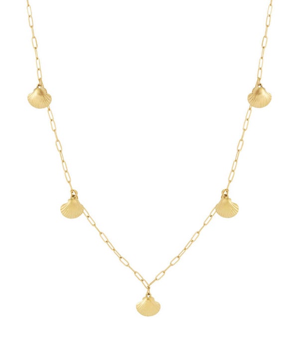 Lange schelpjes ketting