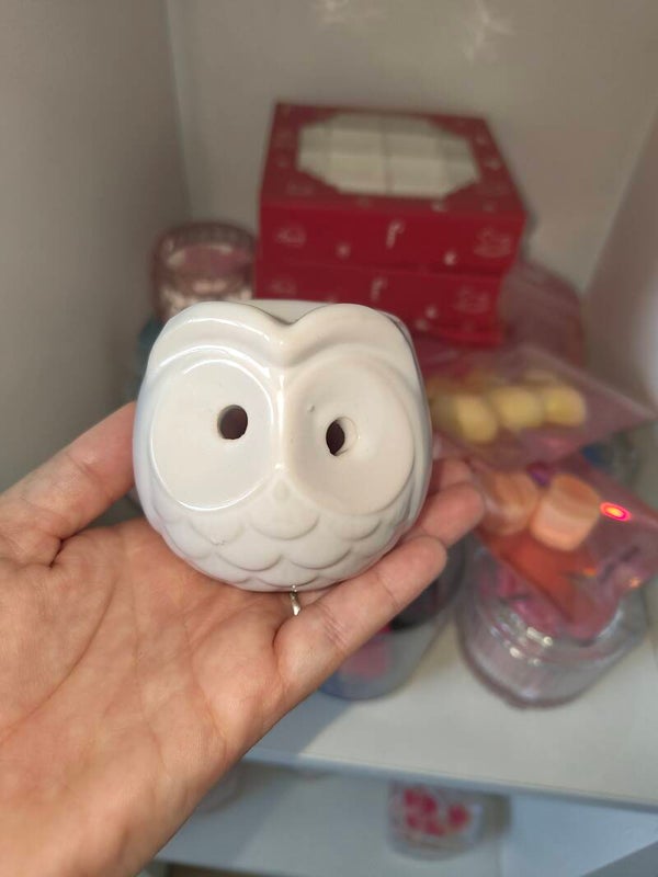 Brûleur pour fondant parfumé hibou 🦉