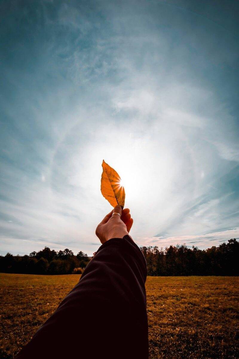 Hand hält ein orangefarbenes Blatt gegen die Sonne, im Hintergrund eine Wiese und ein bewölkter Himmel, Kontext Geistführerkontakt mit Medium Jana Lorenz