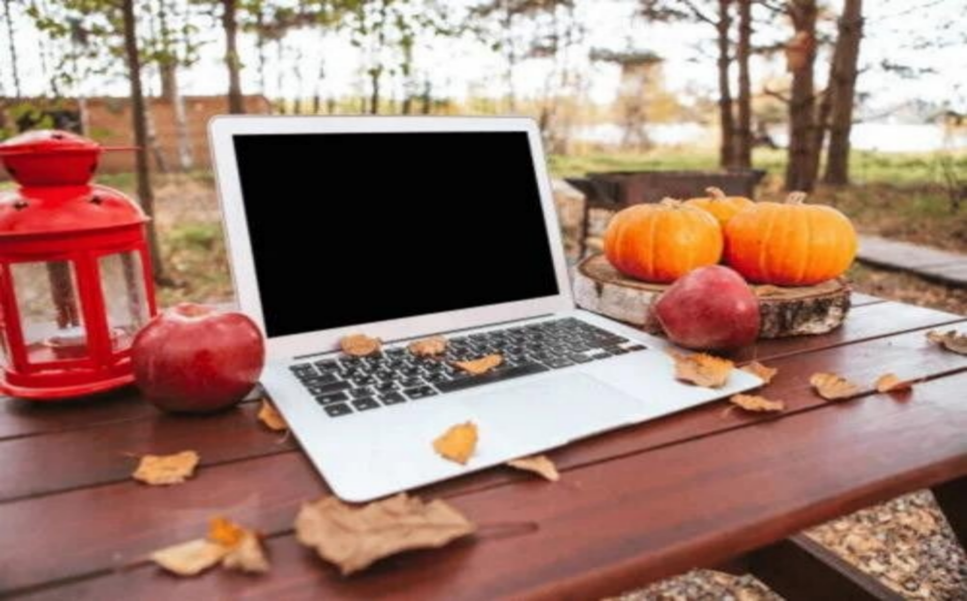 Offener grauer Laptop auf einem Holztisch neben einer Tasse Kaffee und einem weißen Blumentopf mit Hortensien, im Kontext mit Jenseitskontakte Jana Lorenz.