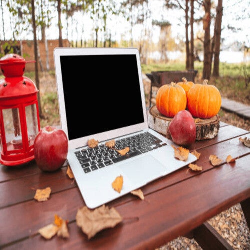 Offener grauer Laptop auf einem Holztisch neben einer Tasse Kaffee und einem weißen Blumentopf mit Hortensien, im Kontext mit Jenseitskontakte Jana Lorenz.