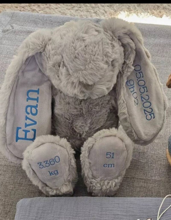 Lapin gris