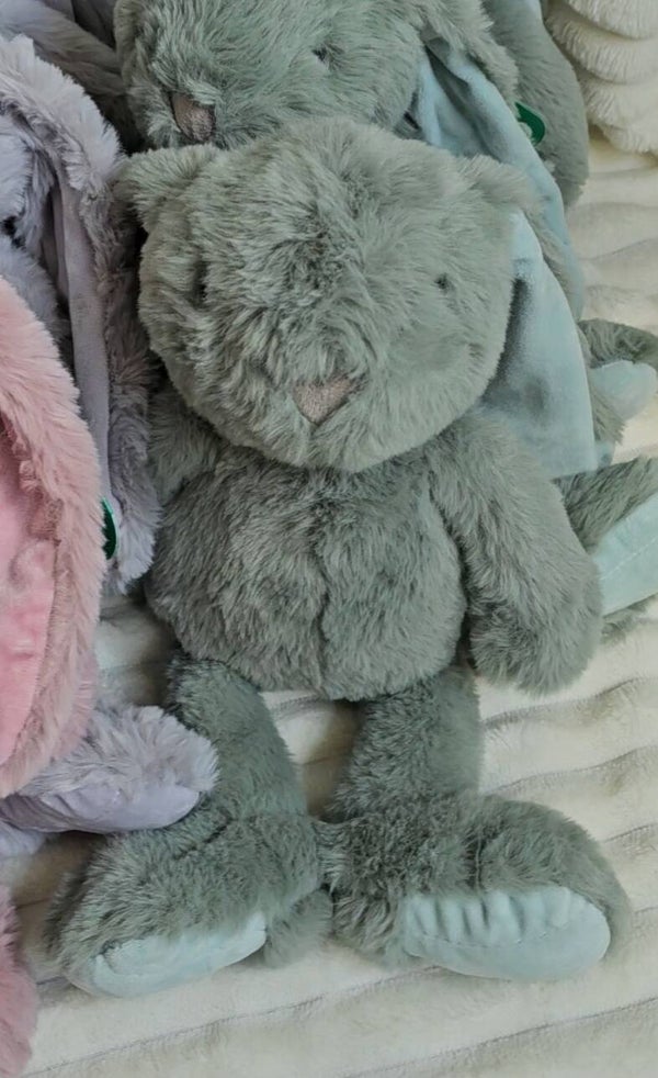 Lapin vert