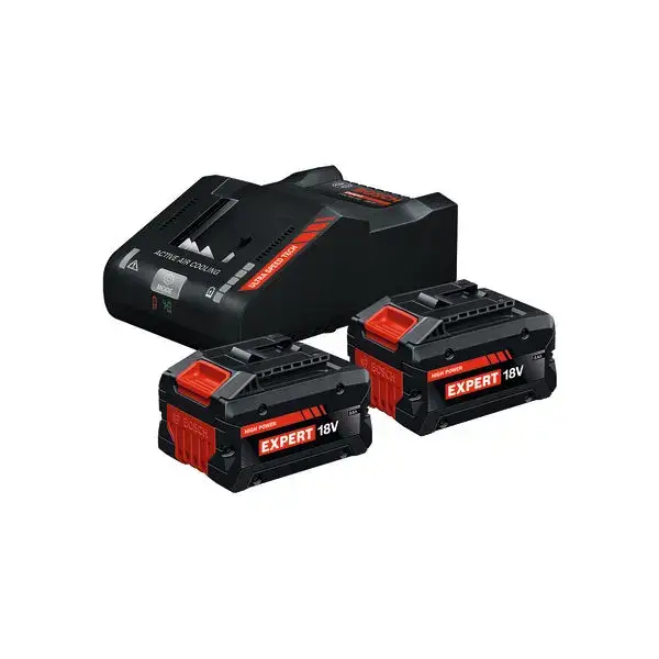 Starter Set 2 batteries Expert 18V 8,0Ah EXBA 18V-80 + 1 chargeur EXAL 18V-160 - BOSCH - 1600A0373T