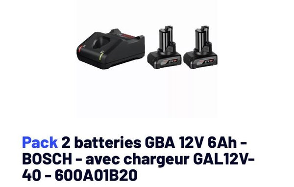 Ensemble 2 batteries 12v 6Ah + chargeur Bosch