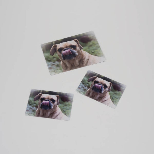 Magnet - Fotos  3er Set