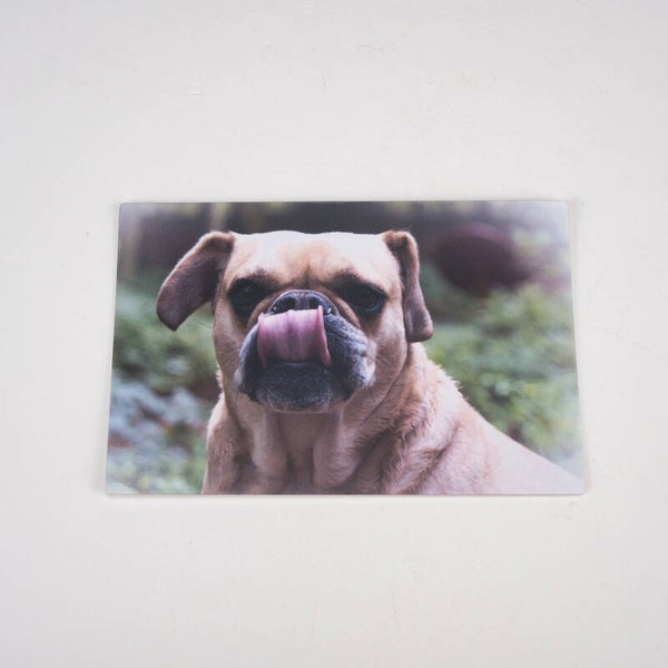 Postkarte 10 x 15 cm