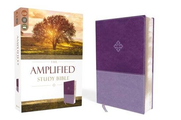 The Amplified Study Bible