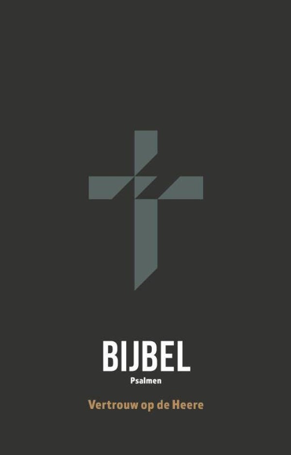 Bijbel met Psalmen Jongens