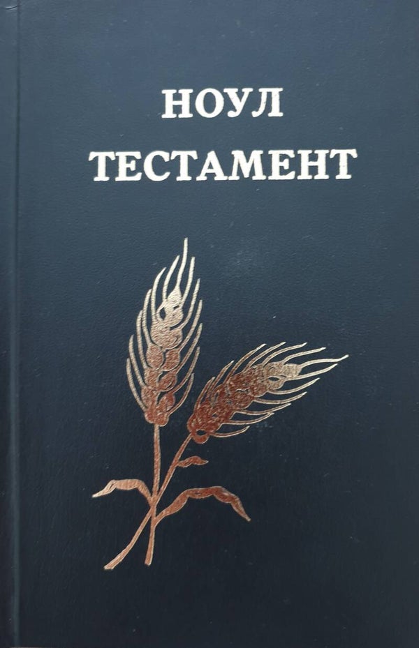 Bijbel Moldavisch NT