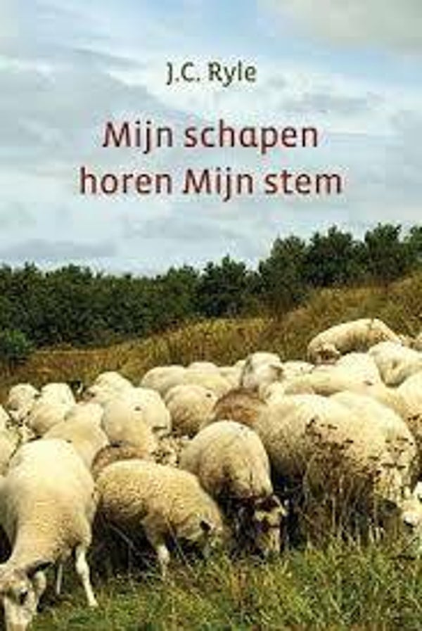 Mijn schapen horen Mijn  stem