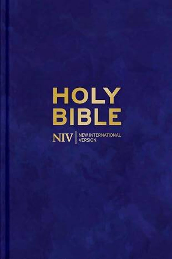 NIV Holy Bible Larger Print Velvet