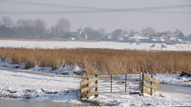 26-januari-2010-009-standard.jpg