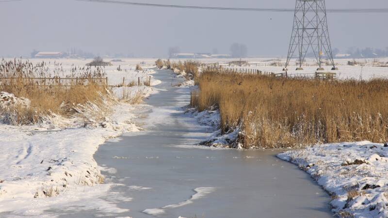 26-januari-2010-010-standard.jpg