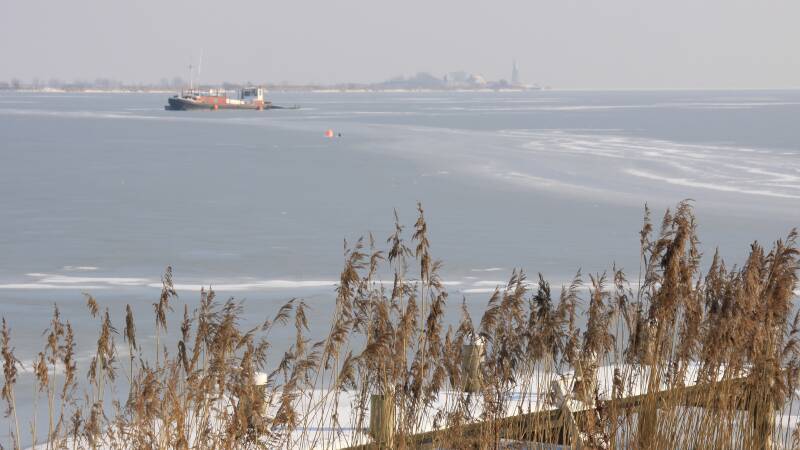 26-januari-2010-011-standard.jpg