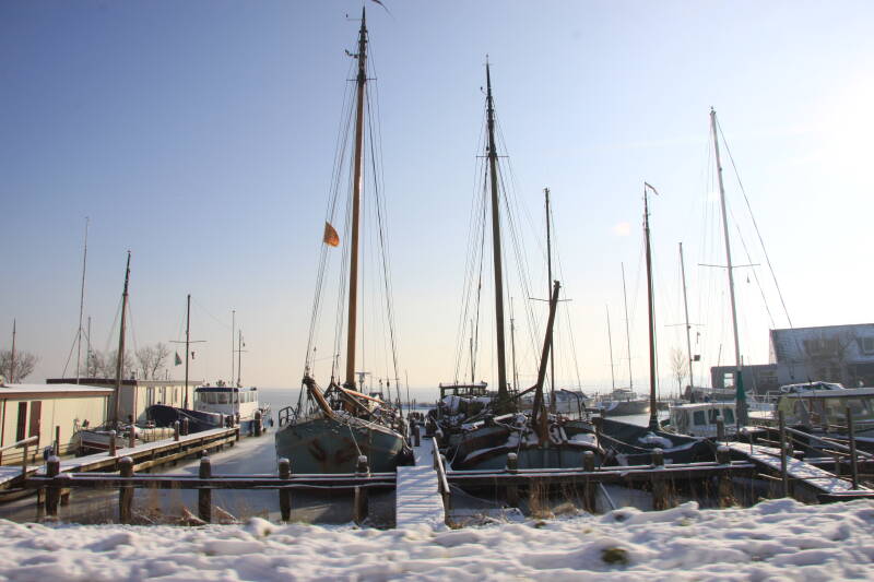 26-januari-2010-020-standard.jpg
