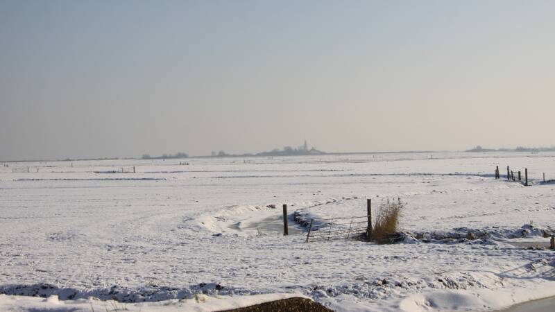 26-januari-2010-022-standard.jpg