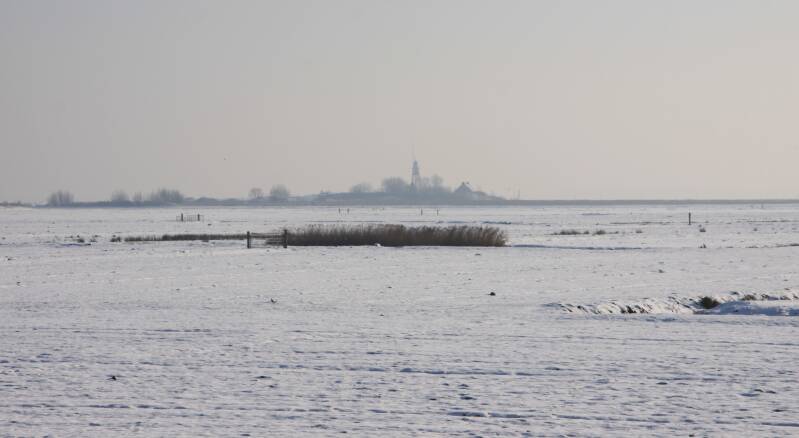 26-januari-2010-023-standard.jpg