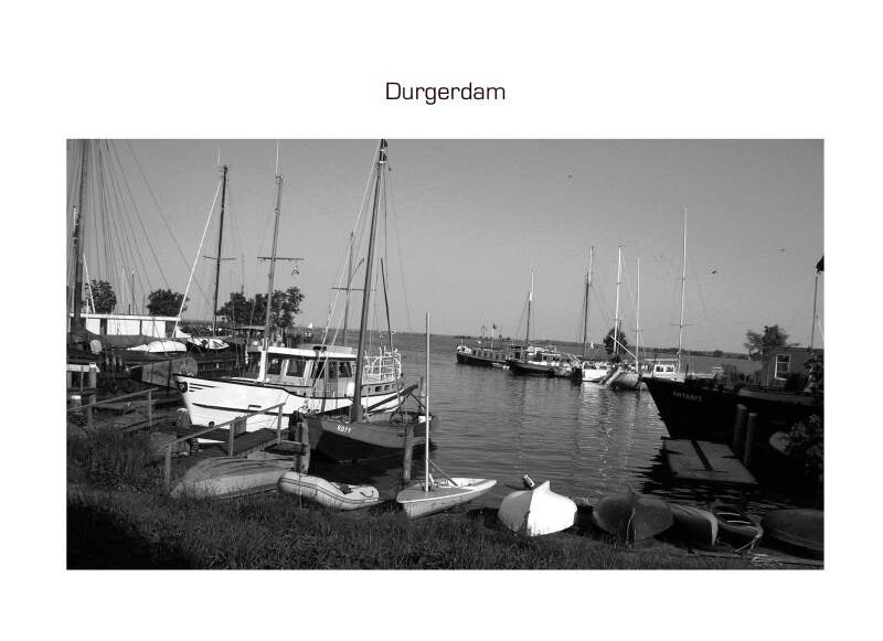 d91206-1-standard.jpg