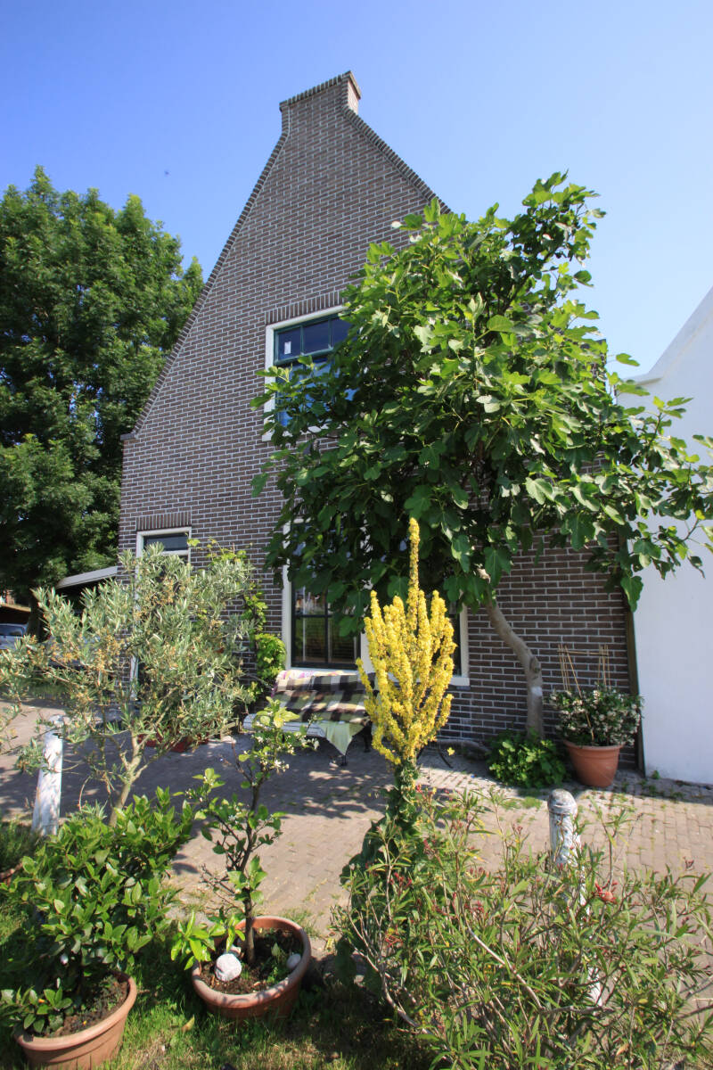 duregdam2-juli-2009-128-standard.jpg