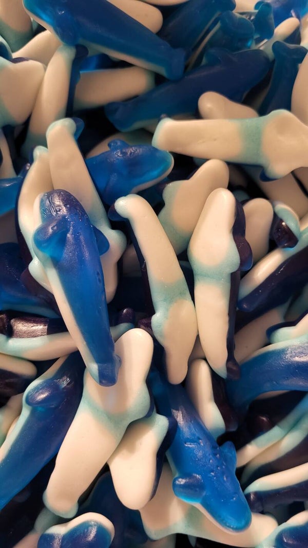 FRISIA : ORCA