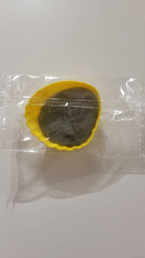Coquillage x1 pièce