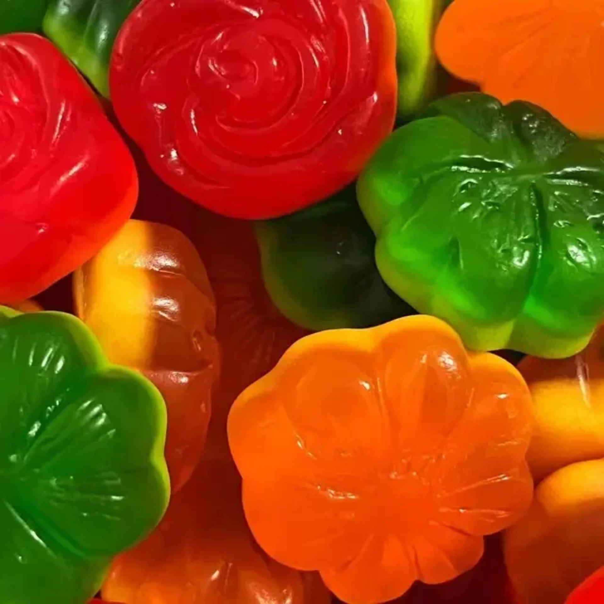 DAMEL : Fleur power -  Halal -  Sans gluten