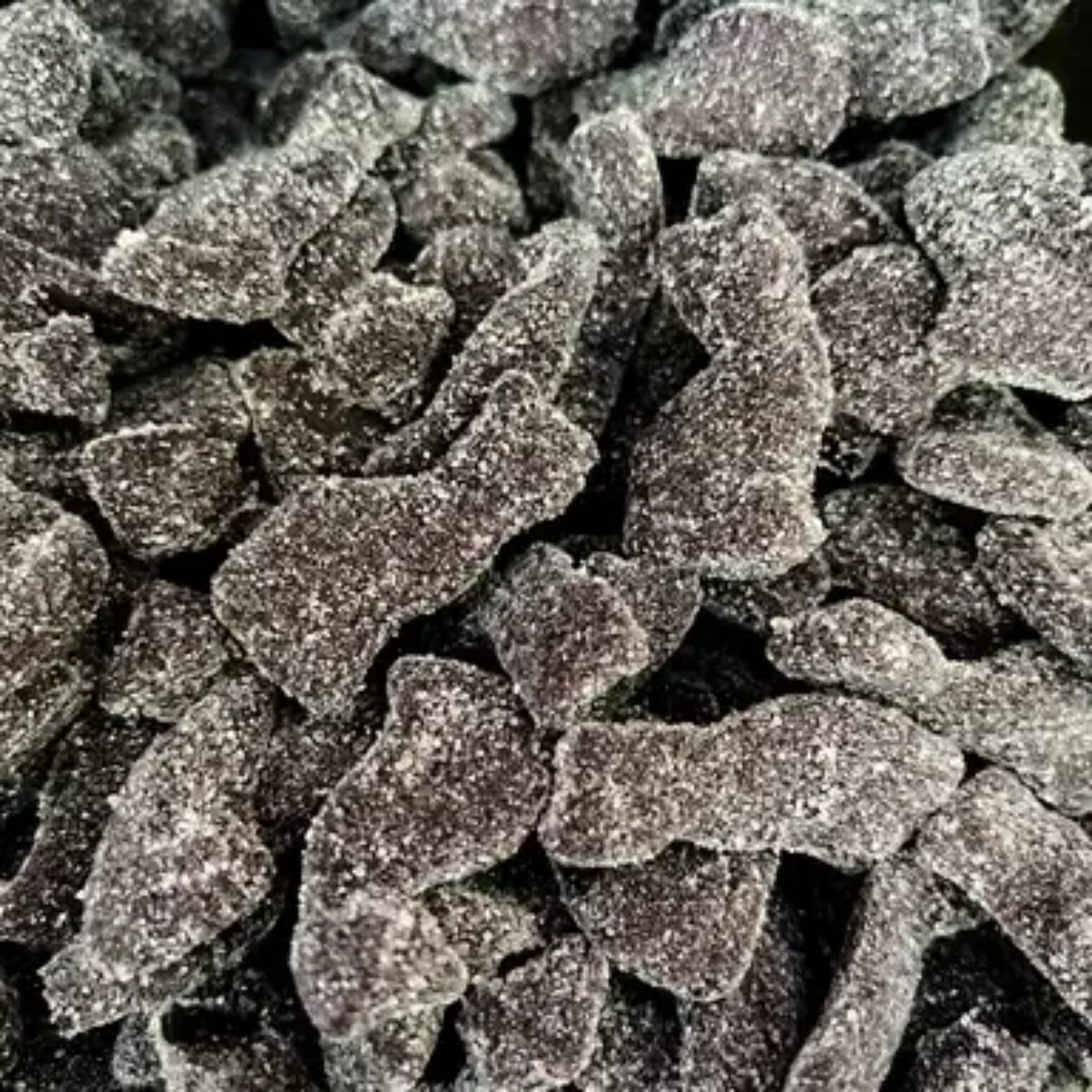 DULCEPLUS : Chat réglisse -  Halal