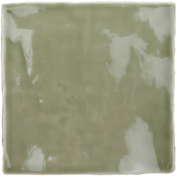 Steenbok - Rustic Olive Green glossy