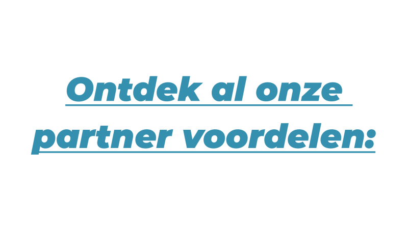Voorbeeld van een projectpagina
