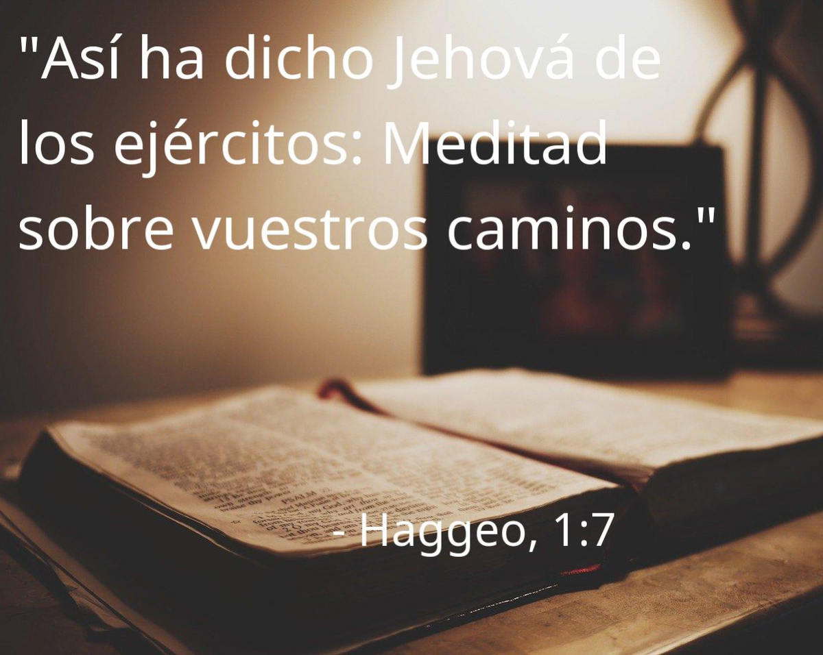Meditad Sobre Vuestros Caminos / Estudios Diversos / Estudios y ...