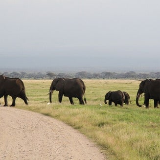 Small Group Adventure Safaris,Active Travel,Epic Active AdventuresYHA Kenya TravelEpic Tours SafarisWildlife SafarisSafari BookingsMasai Mara Kenya SafariActive Holidays in KenyaAfrican SafariThe Big Five Animals