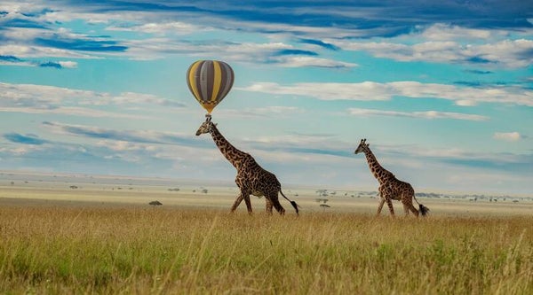 Masai Mara Safari Combined With Hot Air Balloon.