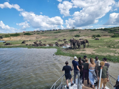 Small Group Adventure Safaris,Active Travel,Epic Active AdventuresYHA Kenya TravelEpic Tours SafarisWildlife SafarisSafari BookingsMasai Mara Kenya SafariActive Holidays in KenyaAfrican SafariThe Big Five Animals